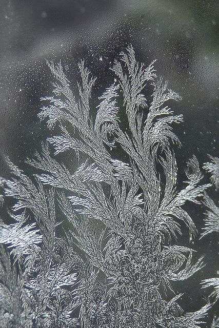 Frost blooms are so neat Foto Macro, Frosted Window, William Morris Patterns, Matka Natura, Ice Crystals, Winter Magic, Winter Beauty, Winter Wonder, Snow Queen