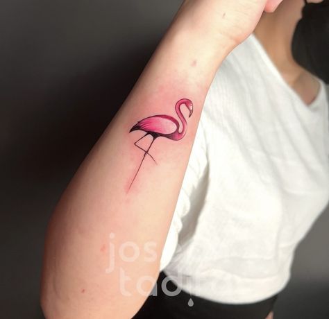 Pink Flamingo Tattoo Ideas, Flamingo Ankle Tattoo, Get Your Pink Back Flamingo Tattoo, American Traditional Flamingo Tattoo, Simple Flamingo Tattoo, Flamingo Tattoos For Women, Law Tattoos, Tattoo Flamingo, Flamingo Tattoos