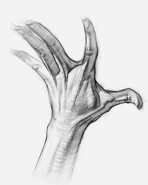 Learn how to draw hands - proko.com/200 Artistic Anatomy, Hand Sketches, Hand Anatomy, Male Figure Drawing, Draw Hands, Drawing Hands, Human Anatomy Drawing, Human Figure Drawing, Hand Drawing Reference