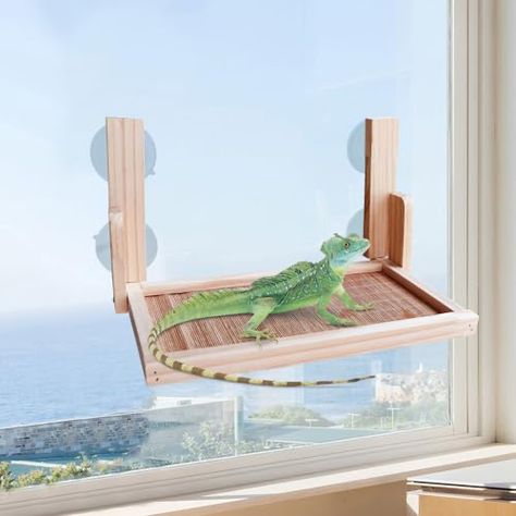 Bearded Dragon Hammock, Window Perch, Reptile Tank, Pet Care Tips, Bearded Dragon, Guinea Pig, Catfish, Guinea Pigs, Rats