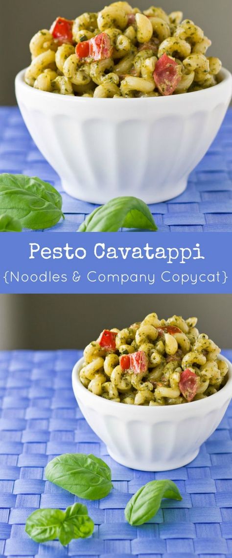 It only takes 6 ingredients and 15 minutes to create Pesto Cavatappi at home. It's so much faster, cheaper, and tastier than the Noodles & Company version! Pesto Cavatappi Recipe, Pesto Cavatappi, Cats Treats, Pasta Board, Noodles And Company, Creamy Pesto Sauce, Copy Cats, Restaurant Dishes, Pasta Pasta