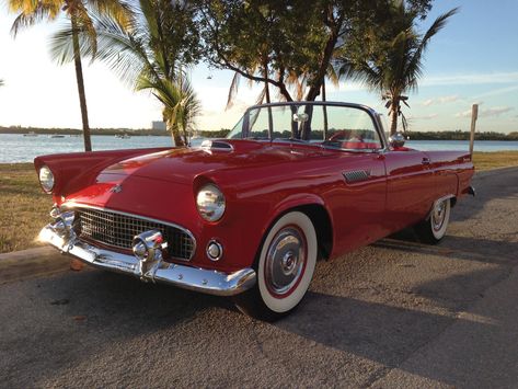 56 Thunderbird, 1955 Thunderbird, 1955 Ford Thunderbird, 1956 Ford Thunderbird, Ford Thunderbird 1955, Vintage Cars For Sale, Old Fashioned Cars, Vintage Cars 1950s, Old Vintage Cars