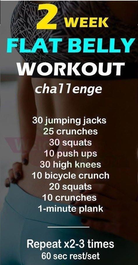 2 week flat belly workout challenge - Jumping, crunches, squats, push ups, high knees, bicycle crunch, squats and crunches. Hit Workout, Workout Man, Belly Workout Challenge, Diet Vegetarian, Belly Fat Workout, Flat Tummy, Belly Workout, Flat Belly Workout, Flat Belly