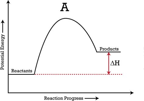 The graph shows how endothermic is absorbing energy.  -V.R Energy Changes Chemistry, Precipitate Chemical Reaction, Ionization Energy Chemistry, Misleading Graphs, Function Graphs, Chemical Reactions, Line Chart, Chemistry, Energy