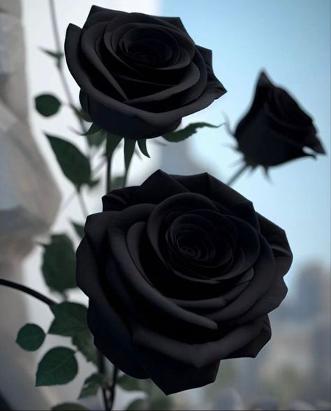 Rose Art Aesthetic, Black Rose Art, Black Flowers Wallpaper, Gorgeous Bridal Makeup, Black Rose Flower, Rose Tattoos For Women, Delicate Gold Jewelry, Roses Art, Rosé Aesthetic