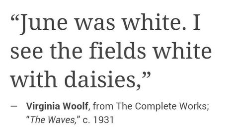 Virginia Wolf, Monthly Quotes, Unspoken Words, Literature Quotes, Virginia Woolf, Poem Quotes, Some Words, Love Words, Poetry Quotes