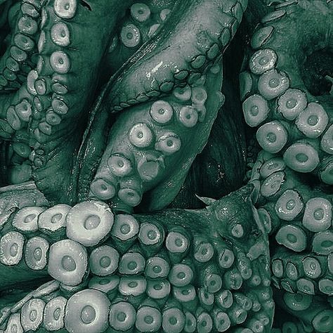 Green Octopus Aesthetic, Deep Sea Scary, Sea Serpent Aesthetic, Tentacle Aesthetic, Squid Aesthetic, Kraken Aesthetic, Cthulhu Aesthetic, Horns Aesthetic, Green Tentacles