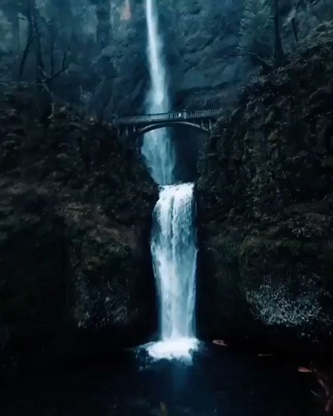 Babita Jain on Twitter: "Fantastic new day & week😍🤗 Good morning all lovely friends 💐… " Waterfall Video, Multnomah Falls Oregon, Switzerland Destinations, Switzerland Mountains, Multnomah Falls, Image Nature, Air Terjun, Waterfall Photography, Fotografi Alam Semula Jadi