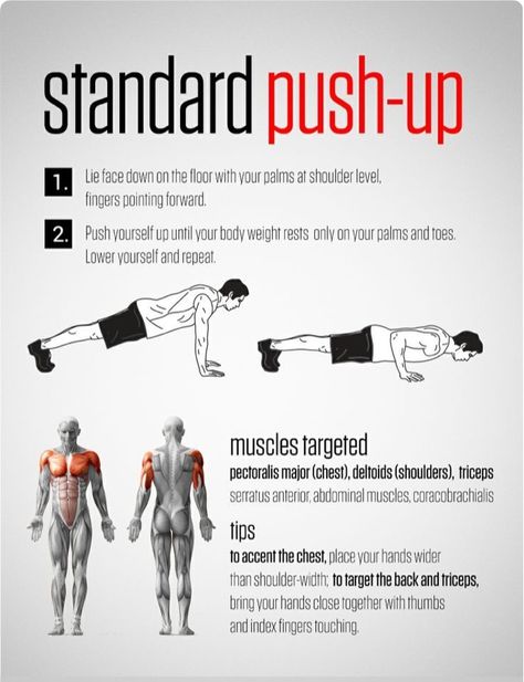 BODY - TRAINING: Push Ups   4 to 5 sets w/ 10 to 15 reps close hand and wide hand 60sec rest period between sets Push Up Muscles, Do Push Ups, Exercise Board, Weight Workouts, Military Workout, Push Ups, Bodybuilding Fitness, Health Inspiration, Work Outs