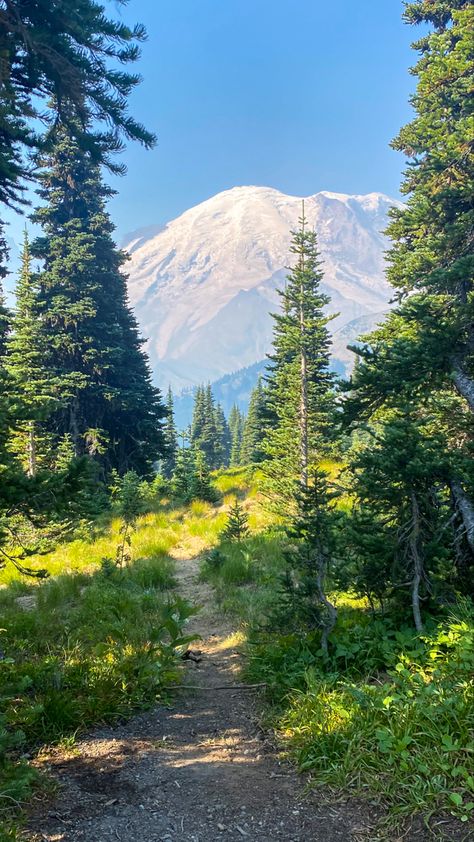 Mt Rainer Wallpaper, Aesthetic National Parks, Mount Rainier Aesthetic, Mt Rainier Aesthetic, My Rainer National Park, My Rainier National Park, Yosemite Aesthetic, Acadia National Park Photography, My Rainier