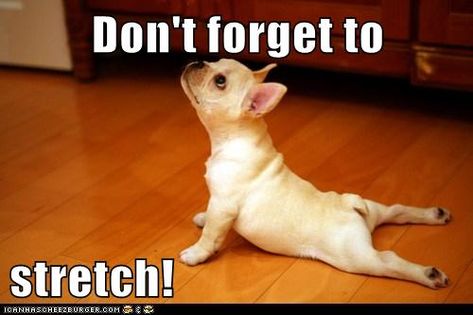 Don't forget to   stretch! Funny Yoga Pictures, Yoga Humor, Upward Facing Dog, Morning Stretches, Workout Memes, Flexibility Workout, Sciatica, Best Yoga, Image Quotes