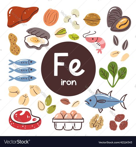 Fe Iron, Foods With Iron, Food Ingredients, Cooking Ingredients, Food Products, Icon Set Vector, Icon Set, Png Images, Nuts