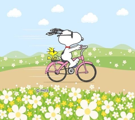 Funny Snoopy, Snoopy Museum, Snoopy Funny, Snoopy Pictures, Snoopy Woodstock, Woodstock, Snoopy, Bike, Pink