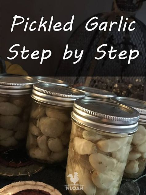 Pickle Garlic, Water Bath Cooking, Pickle Recipes Homemade, Canning Equipment, Food Preserving, Canning Pickles, Canning Vegetables, Pickled Garlic, Pickled Veggies