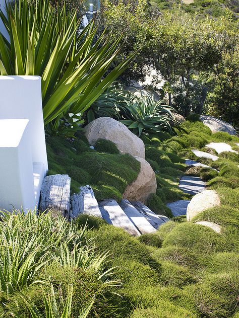 Sloped Garden, Australian Garden, Modern Landscape Design, Coastal Gardens, Native Garden, Landscaping With Rocks, Garden Layout, Modern Landscaping, Tropical Garden