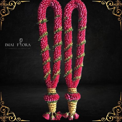 🌹✨ Make a statement with our red rose petal folded garland, elegantly decorated with artificial gold button roses. This exquisite design blends tradition with luxury, adding a touch of grandeur to your special occasions. Celebrate in style with @imai_flora ! #ImaiFlora #RedRoseGarland #GoldButtonRoses #LuxuryDecor #ElegantCelebrations #FloralArt #SpecialMoments #MemorableEvents Rose Petals Garland, Red Rose Petals, Rose Garland, Luxury Decor, Your Special, Gold Buttons, Rose Petals, Red Rose, Exquisite Design