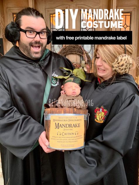 Mandrake Family Costume, Mandrake Baby Costume, Mandrake Costume, Diy Mandrake, Baby Harry Potter Costume, Diy Baby Costumes, Potter Family, Harry Potter Halloween Costumes, Newborn Halloween Costumes