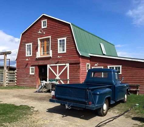 Heartland Season 11, Heart Land, Heartland Cbc, Heartland Quotes, Heartland Amy, Cowgirl Life, Ty Heartland, Heartland Ranch, Heartland Seasons