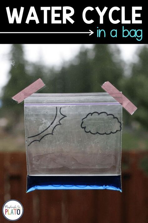 Check out this fun and super simple water cycle in a bag experiment. Kids will loves to check in on their homemade water cycle project while learning about the different stages. They will see water evaporate into vapor, condense back into liquid, and fall down with precipitation. This will help kids visualize what actually happens with water on a small scale. Water Cycle In A Bag, Weather Activities For Kids, Preschool Weather, Playdough To Plato, The Water Cycle, Weather Theme, Kid Science, 4th Grade Science, Weather Activities