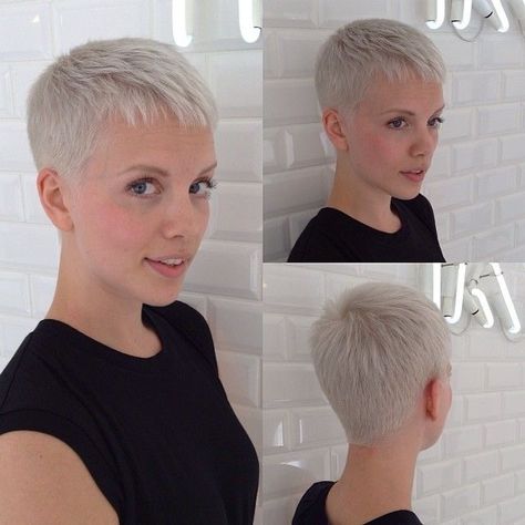 Really Short Haircuts, Super Short Haircuts, Short White Hair, Crop Hair, Really Short Hair, Very Short Haircuts, Super Short Hair, Short Grey Hair, Short Straight Hair