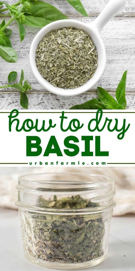 Learn how to dry basil in 5 ways! Whether by hanging, in the oven, air fryer, dehydrator, or microwave, this recipe tutorial for homemade dried basil has got you covered. Tips and techniques included! What To Make With Fresh Basil, Dried Basil Recipes, Basil Diy Gifts, How To Dry Fresh Basil, What To Do With Fresh Basil, Extra Basil What To Do With, What To Make With Basil, Things To Make With Basil, How To Save Basil