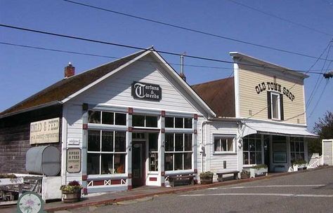 Dream of having a shop like this Practical Magic Shop, Coupeville Washington Practical Magic, Sally Owens, Coupeville Washington, Marymere Falls Washington, Practical Magic Witches On Roof, Treehouse Point Washington, Rose Bed, Midnight Margaritas