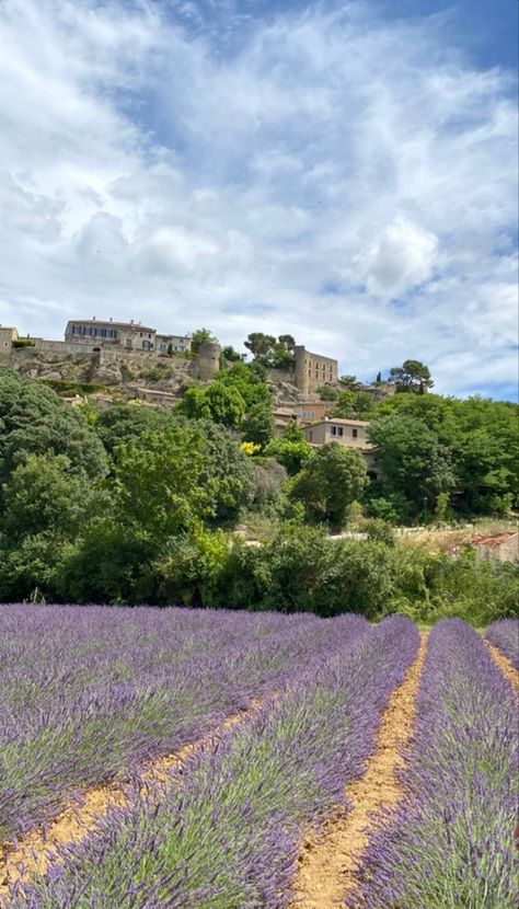 Mediterranean Aesthetic, France Provence, Mediterranean Summer, Blue Shutters, Euro Summer, Provence France, Lavender Fields, Cote D’azur, Summer 24