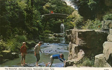 Jesmond Dene, England History, Newcastle University, East Yorkshire, People Of Interest, Newcastle Upon Tyne, Photo Postcard, Photo Postcards, North East