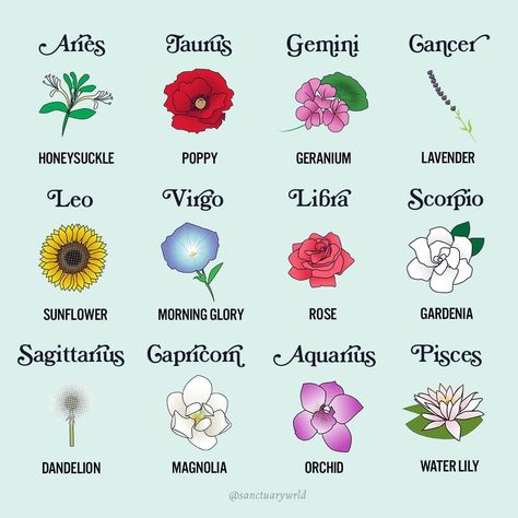 64.8k Likes, 769 Comments - SANCTUARY (@sanctuarywrld) on Instagram: “Flowers? For Spring? Groundbreaking! What signs are in your garden? 🌺🌷🌻” Taurus Flower, Libra Flower, Flowers For Spring, Flower Spine Tattoos, Zodiac Stories, October Zodiac, Flower Chart, Taurus And Aquarius, Astrology Taurus