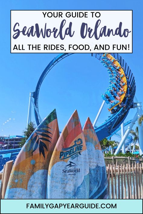 Get ready to have tons of sea-themed fun at SeaWorld Orlando. Visit lots of cool creatures and ride some of the most exciting coasters in Florida! Here's your guide to all the rides, food, and fun! Sea World Orlando, Discovery Cove Orlando, Cool Creatures, United States Road Trip, England Beaches, Seaworld Orlando, Full Time Travel, American Road Trip, Islands Of Adventure