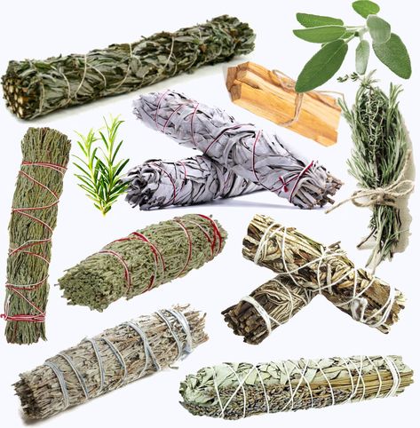 Sage Bundles Diy Smudge Sticks, Types Of Sage, Herb Bundles, Herbs For Protection, Cleansing Herbs, Sage Bush, Cleansing Stick, Cleansing Rituals, Scent Sticks