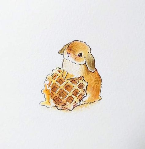 Holland Lop Drawing, Bunny Watercolor, Rabbit Tattoos, Holland Lop, Bunny Drawing, Snow Bunny, Bunny Art, Book Art Diy