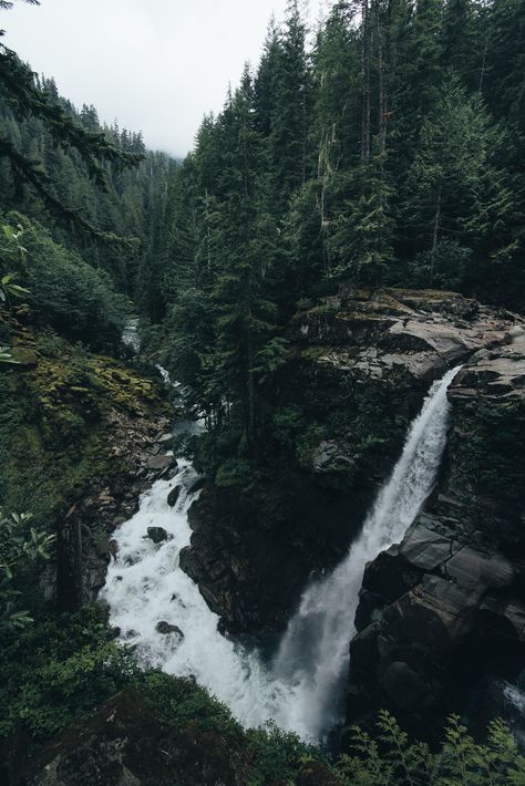 Landscape Edging Stone, 숲 사진, Dark Naturalism, Fotografi Kota, Dark Green Aesthetic, Landscape Photography Tips, Image Nature, Landscape Edging, Air Terjun