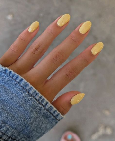 Beginners Free Guide to Summer Nail Project Shorter Summer Nails, Simple Almond Nails Summer Solid Color, Simple Nail Ideas Summer, Nails Solid Color Summer, Beach Aesthetic Nails, Nails Beach Vibes, Solid Color Nails Summer, Short Solid Color Nails, Vacation Nail Inspo 2024