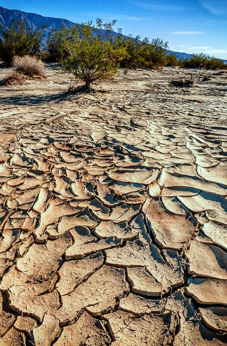 The Allure of Dried Mud - Clark Dry Lake in Anza Borrego State Park is one of my favourite places for dried mud. http://annemckinnell.com/2014/01/26/allure-dried-mud/ #travel #blog #photo #california #mud #borrego Dried Up Lake, Anza Borrego State Park, Dry Forest, Anza Borrego, Dry Desert, Dry Land, Admit It, Fantasy Landscape, Blog Photo