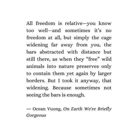 Ocean Vuong Poems, On Earth We Are Briefly Gorgeous Quotes, Ocean Vuong Quotes, On Earth We Are Briefly Gorgeous, Ocean Vuong, Ash Eiji, Gorgeous Quotes, Sour Diesel, Quote Collage