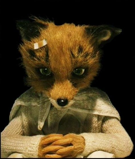 Ash Fox, Fantastic Mr Fox Aesthetic, Its Not Your Fault, Fox Aesthetic, Fantastic Fox, Mister Fantastic, Wes Anderson Movies, Wes Anderson Films, Not Your Fault