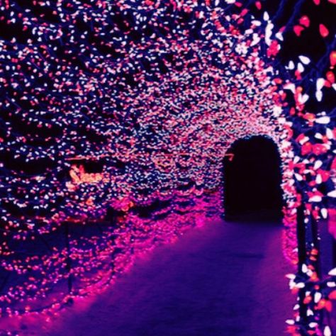 Túnel de luzes nas cores da galáxia Prom Planning, Homecoming Themes, Galaxy Wedding, Prom Themes, Dance Themes, Prom Decor, Prom Theme, Wedding Entrance, Festa Party