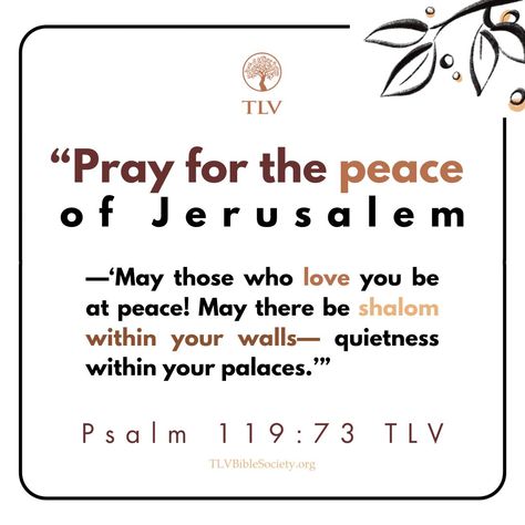 "Pray for the peace of Jerusalem— 'May those who love you be at peace! May there be shalom within your walls— quietness within your palaces.'" Psalm 122:6-7 TLV #verseoftheday #votd #scripture #bibleverse #dailybibleverse #tlvbible #tlv #bibleverseoftheday #WordofGod #shalom #jerusalem #pray #prayforpeace #prayforisrael #peace #psalmwednesday #psalm Psalm 122:6-7, Psalm 122, Be At Peace, Pray For Peace, Book Of Psalms, Inspirational Verses, Healing Scriptures, Psalm 119, At Peace