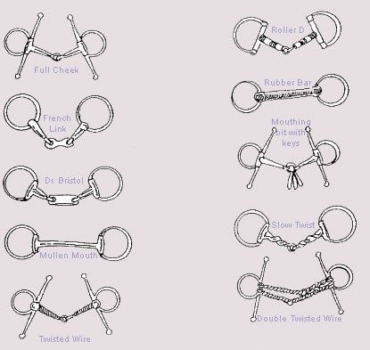 Labeled Types of Bits (Level 2) Horse Biomechanics, Bits For Horses, Horse Grooming Kit, Guitar Theory, Horse Farm Ideas, Horse Braiding, Horse Brushes, Horse Information, Horse Riding Quotes