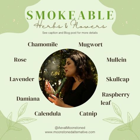 Smokeable Herbs, Herbs And Their Uses, Herbs List, Herbal Education, Healing Magic, Herbs And Flowers, Magic Herbs, Magical Herbs, Herbal Apothecary