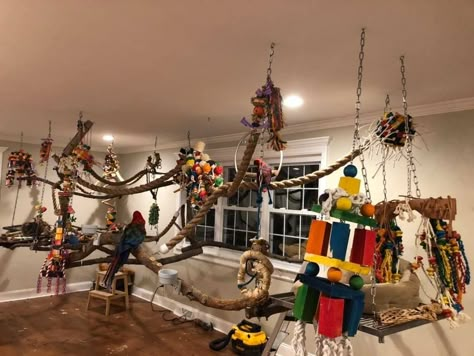 Macaw Cage Ideas, Parrot Room Ideas, Parrot Cage Ideas Design, Indoor Bird Room Ideas, Bird Room Ideas, Parrot Room, Macaw Cage, Homemade Bird Toys, Parrot Play Stand