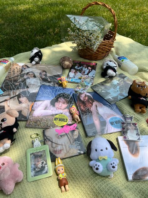 Kpop Picnic Aesthetic, Kpop Things Aesthetic, Kpop Activities, Picnic Kpop, Friend Hangout Ideas, Plushies Sanrio, Otter Plush, Photocards Kpop, Creative Gift Ideas