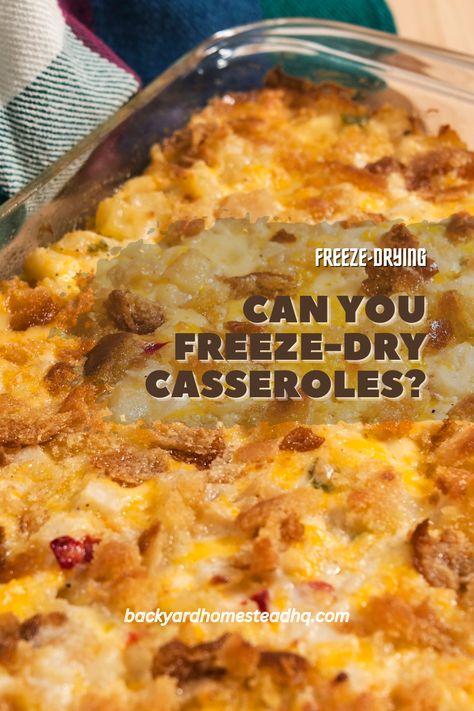 Add warm water to reconstitute a freeze-dried casserole. Freeze-dried casseroles can last from 1-10+ years. Freeze-drying casseroles use the standard steps. All foods freeze-dry best if kept to a max of half an inch thick. Deeper casseroles freeze-dry with extra time. #frezedryingtips #freezedriedcasseroles #freezedrymeals #freezedriedmealideas #bestfreezedriedmeals #howtofreezedrymeals #backyardhomesteadhq Freeze Dried Meals Recipes, Freeze Dryer Meal Recipes, Diy Freeze Dried Meals, Freeze Dried Meals, Family Favorite Casseroles, Casserole To Freeze, Freeze Dried Food Storage, Harvest Right Freeze Dryer, Best Freeze Dried Food