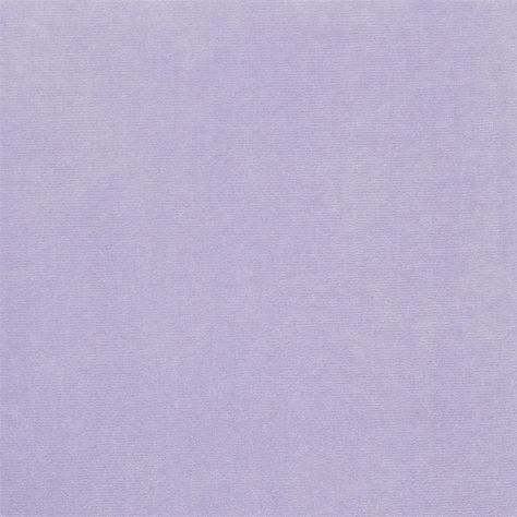 Cassia - Lavender fabric | Designers Guild Essentials Carpet Texture Seamless, Fabric Texture Seamless, Lavender Spray, Carpet Texture, Cutaway Collar, Bodysuit Top, Purple Fabric, Fitted Dress Shirts, Lilac Color