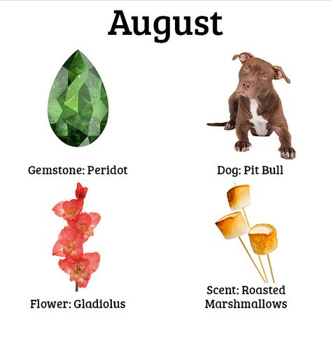 August Birthday Quotes, Birth Month Symbols, Birth Month Quotes, Birth Symbols, Month Animals, Month Meaning, August Baby, August Born, August Birthday