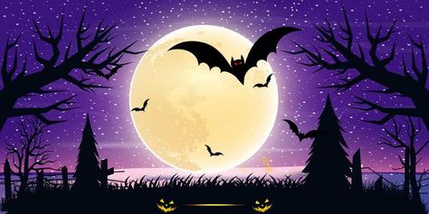 Backgrounds Landscape, Halloween Live Wallpaper, Glow Pumpkin, Halloween City, Purple Aesthetic Background, Bat Flying, Sky Images, Instagram Photo Frame, Halloween Silhouettes