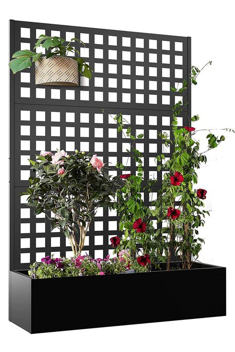 Constructed from sturdy galvanized metal, this sleek planter includes a tall trellis that supports climbing plants and doubles as an elegant privacy screen. Metal Flower Boxes Planters, Garden Planters With Trellis, Trellis With Planter, Patio Planter Boxes, Planter With Trellis, Outdoor Raised Garden Beds, Patio Trellis, Privacy Planter, Planter Box With Trellis