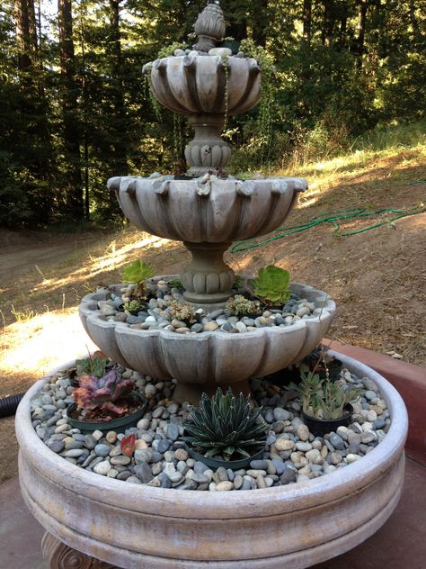 Fountain Decor, Drops Of Water, Fountain Design, Stand Ideas, Agave Plant, Christmas Tree Inspiration, Wall Garden, The Fountain, Succulent Plants