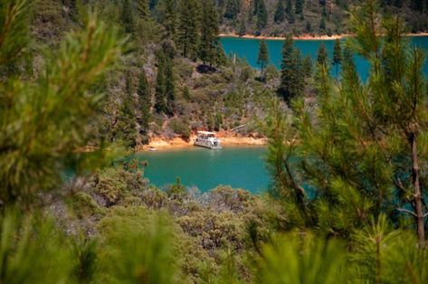 This Northern California Lake Is An Outdoor Lover's Paradise Houseboat Vacation, Lake Shasta, Interstate 5, Houseboat Rentals, Lake Tahoe Vacation, Shasta Lake, Lakes In California, Lake Camping, Travel California